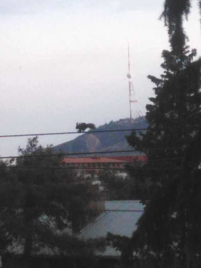 Отель Hotel Caucase Тбилиси-9